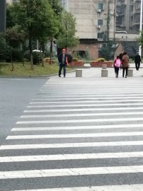 冷水江市高级技工学校 党员志愿者劝导市民文明过马路活动